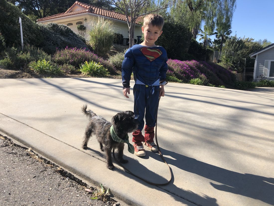 A walk with Frodo on a neighborhood trail