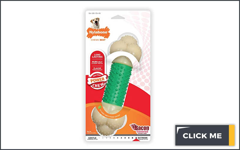 green and white dog nylabone with red and orangepackaging
