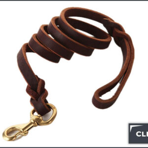 Six Foot Leather Leash