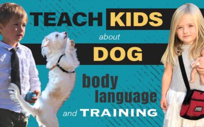 How to Teach Kids about Dog Body Language and Training