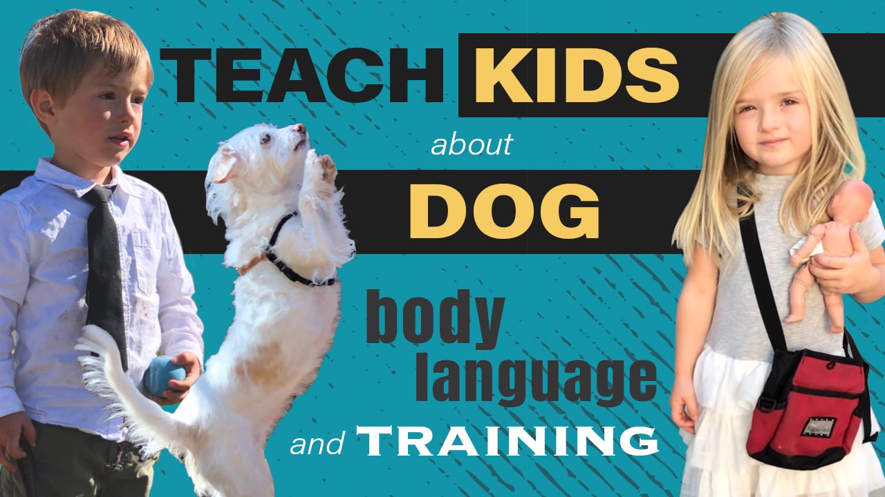 Blog Behavioral Dog Training for Anxiety and Reactivity